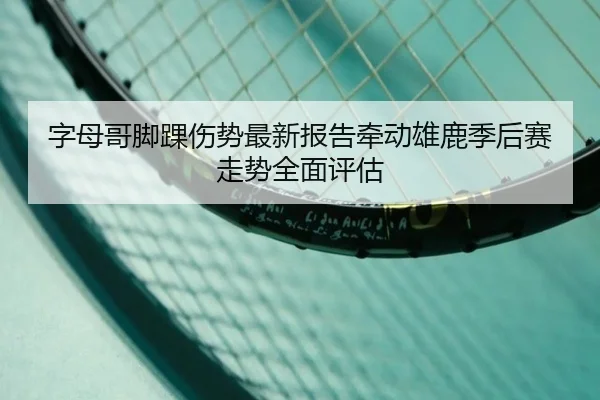 字母哥脚踝伤势最新报告牵动雄鹿季后赛走势全面评估