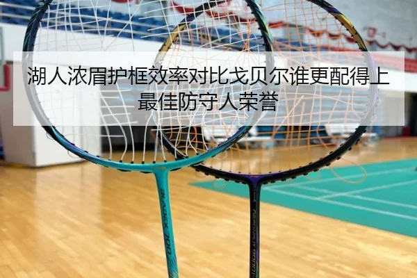 湖人浓眉护框效率对比戈贝尔谁更配得上最佳防守人荣誉